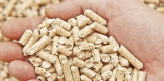 pellet