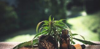 Olejek CBD dla kota - prozdrowotna suplementacja