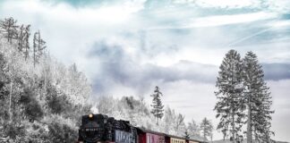 Czy pstrąga trzeba skrobać przed wędzeniem?