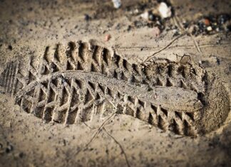 Czy oceny mają sens?