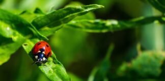 Co jest potrzebne do siódmej klasy?