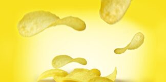 Jak długo działa chip u psa?