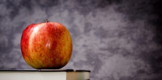 Ile lat ma się w 11 klasie?