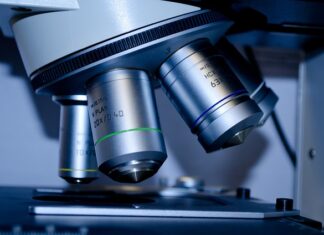 Czy po nauczaniu domowym można iść na studia?