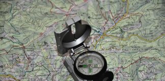 Jaka jest różnica między programem a podstawa programowa?