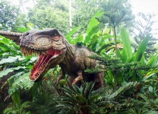 Jak wygląda system edukacji w Singapurze?