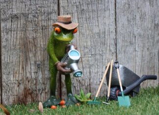 Co to znaczy że telefon jest na abonament?