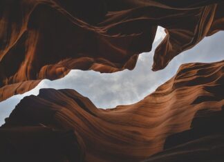 Jakie są formy wychowania?