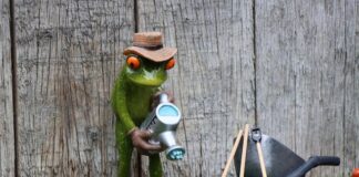 Jaka sieć na abonament 2023?