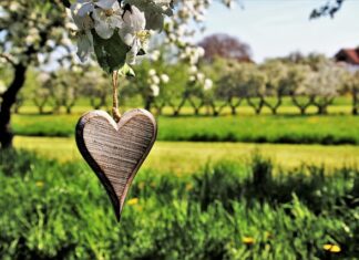 Co napisać na zawieszce dla psa?