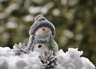 Jak ozdobić Polki w salonie?